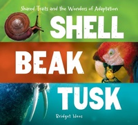 Enlarge image Cover: Shell, Beak, Tusk - Clarion Books