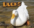 Cover: Ducks - Raintree