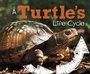 Cover: A Turtle's Life Cycle - Raintree