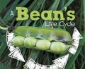 Cover: A Bean's Life Cycle - Raintree