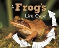 Enlarge image Cover: A Frog's Life Cycle - Raintree