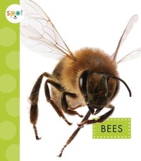 Enlarge image Cover: Bees - Spot