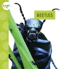 Cover: Beetles - Spot