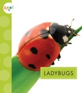 Cover: Ladybugs - Spot