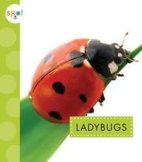 Enlarge image Cover: Ladybugs - Spot