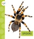 Cover: Spiders - Spot