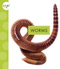 Cover: Worms - Spot