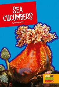 Enlarge image Cover: Sea Cucumbers - Amicus High Interest