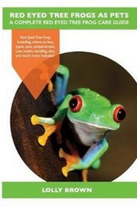Abbildung von: Red Eyed Tree Frogs as Pets - Nrb Publishing