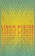 Cover: Liquid Status - Rooster Republic Press