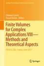 Cover: Finite Volumes for Complex Applications VIII - Methods and Theoretical Aspects - Springer