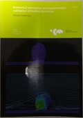 Cover: Numerical simulation and experimental validation of biofilm formation - Institut f&uuml;r Kontinuumsmechanik
