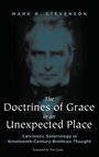Cover: The Doctrines of Grace in an Unexpected Place - Wipf & Stock Publishers