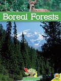 Cover: Boreal Forests - Av2 by Weigl