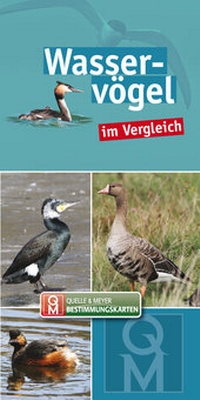 Abbildung von: Wasservögel - Quelle & Meyer