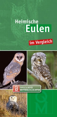 Abbildung von: Eulen - Quelle & Meyer