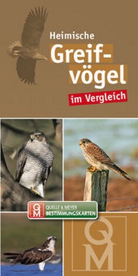 Abbildung von: Greifvögel - Quelle & Meyer