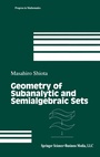Cover: Geometry of Subanalytic and Semialgebraic Sets - Birkhauser Boston Inc