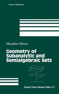 Abbildung von: Geometry of Subanalytic and Semialgebraic Sets - Birkhauser Boston Inc