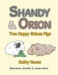 Cover: Shandy & Orion - Xlibris
