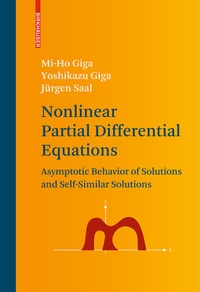 Abbildung von: Nonlinear Partial Differential Equations - Birkhäuser