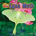 Cover: Luna Moth - Bearport Books