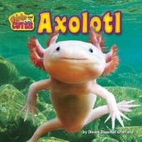 Enlarge image Cover: Axolotl - Bearport Books