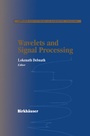 Cover: Wavelets and Signal Processing - Birkh&auml;user