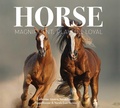 Cover: Horse - Flame Tree Publishing