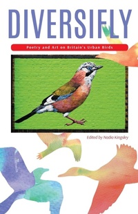 Enlarge image Cover: Diversifly - Fair Acre Press
