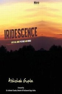 Abbildung von: Iridescence - Half Baked Beans