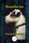Cover: Beautiful Joe - Simon + Schuster LLC