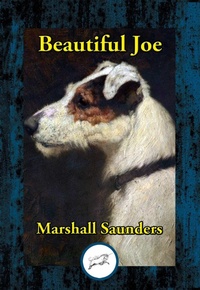 Enlarge image Cover: Beautiful Joe - Simon + Schuster LLC