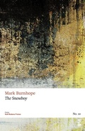 Cover: The Snowboy - Salt Publishing