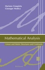Cover: Mathematical Analysis - Birkh&auml;user