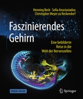 Cover: Faszinierendes Gehirn - Springer