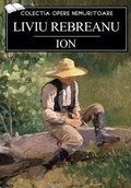 Cover: Ion - SC Active Business Development SRL