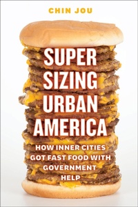 Bild: Supersizing Urban America - University of Chicago Press