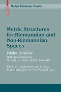 Bild: Metric Structures for Riemannian and Non-Riemannian Spaces - Birkh&auml;user