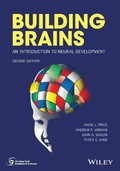 Cover: Building Brains - Wiley