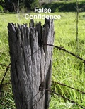 Cover: False Confidence - Lulu.com
