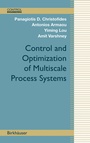 Cover: Control and Optimization of Multiscale Process Systems - Birkhäuser