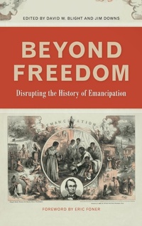 Abbildung von: Beyond Freedom - University of Georgia Press