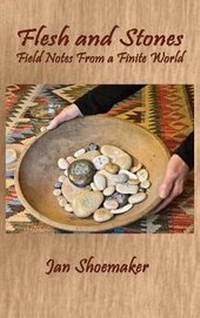 Enlarge image Cover: Flesh and Stones - Bottom Dog Press