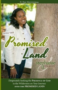 Enlarge image Cover: Into the Promised Land - Moore Marketing & Communicat