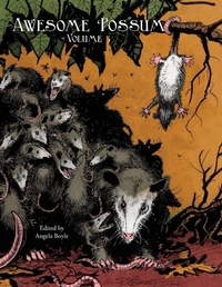 Enlarge image Cover: Awesome 'Possum, Volume 3 - Angela Boyle