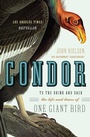 Cover: Condor - HarperCollins