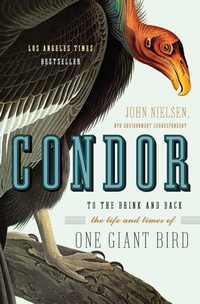 Enlarge image Cover: Condor - HarperCollins