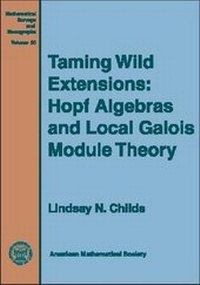Abbildung von: Taming Wild Extensions - American Mathematical Society