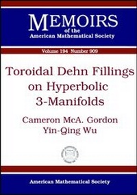Abbildung von: Toroidal Dehn Fillings on Hyperbolic 3-manifolds - American Mathematical Society
